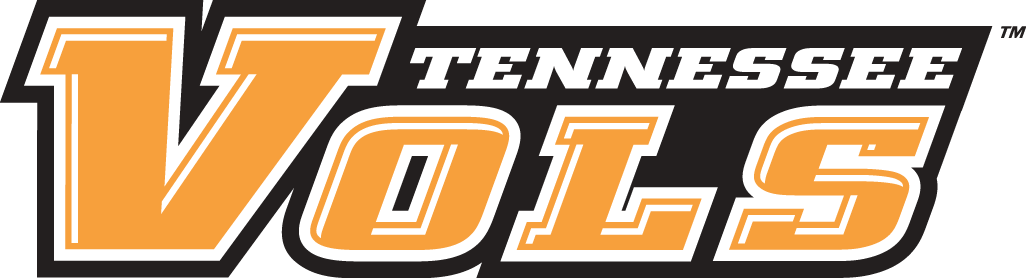 Tennessee Volunteers 2005-Pres Wordmark Logo v2 iron on transfers for T-shirts